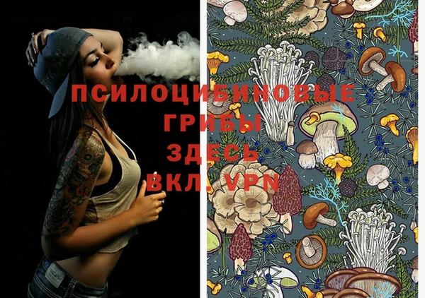 дмт Касимов