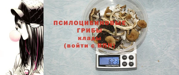 дживик Карпинск